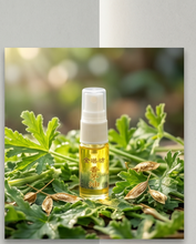 Load image into Gallery viewer, Citronella Oil 台湾“金湛坊”香茅油500ml w/gourd diffuser
