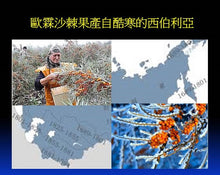 Load image into Gallery viewer, Cold pressed Oil 100% Sea Buckthorn 沙棘果油 50ml