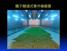 Load image into Gallery viewer, Cold pressed Oil 100% Flaxseed Oil (Golden) 黄金亞麻籽油