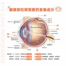 Load image into Gallery viewer, Cold pressed Gac Oil 木鱉果油 30ml