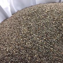 Load image into Gallery viewer, Cold pressed Oil 100% Perilla Oil 紫蘇籽油