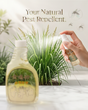 Load image into Gallery viewer, Citronella Oil 台湾“金湛坊”香茅油500ml with 2*35ml
